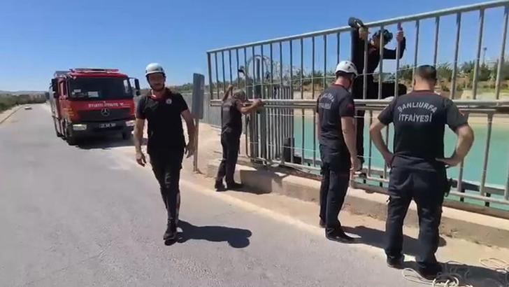 Şanlıurfa’da birer gün arayla sulama kanalında 2 ceset bulundu