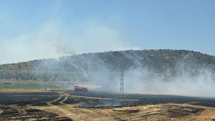 Anız yangınında alevler ormana sıçradı