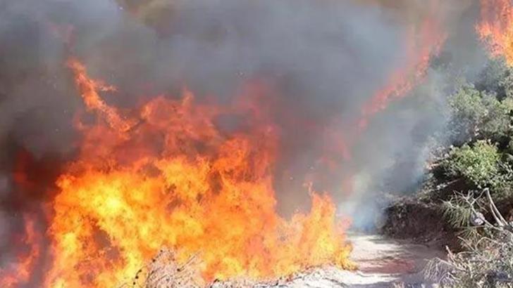 Manisa'daki orman yangınına ilişkin 1 tutuklama