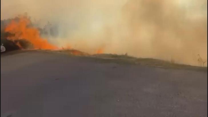 İstanbul - Maltepe’de havai fişek atarak otluk alanda yangın çıkaran şüpheli tutuklandı