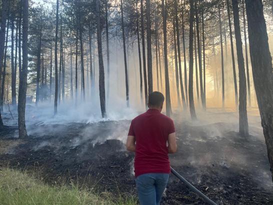 Kastamonu'da çıkan orman yangını kısa sürede söndürüldü