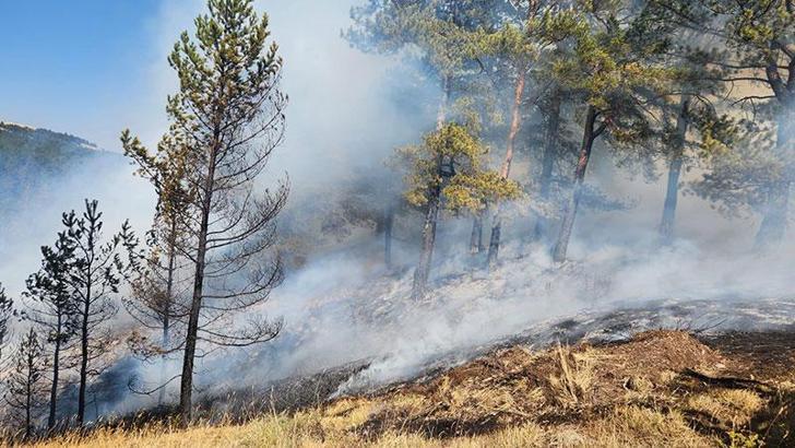 Çankırı’da çıkan orman yangını kontrol altına alındı