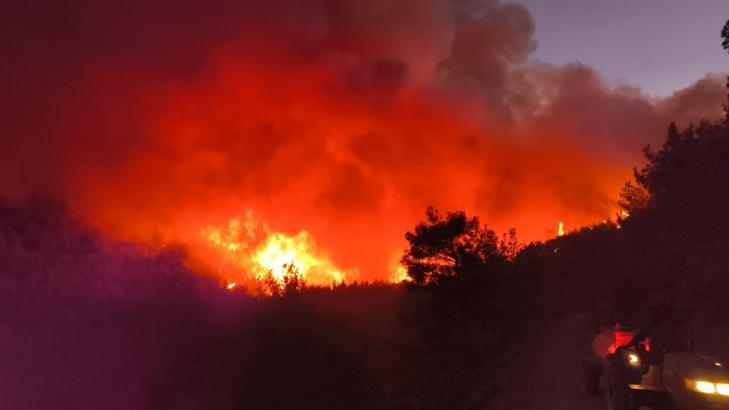 Hatay'da orman yangını