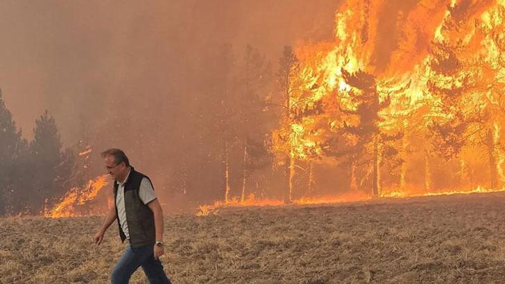 Bolu'da orman yangınına neden olan 1 şüpheli tutuklandı