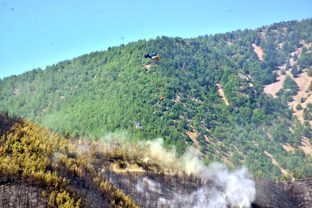 Hatay'daki orman yangını ikinci gününde; havadan müdahale başladı (2)