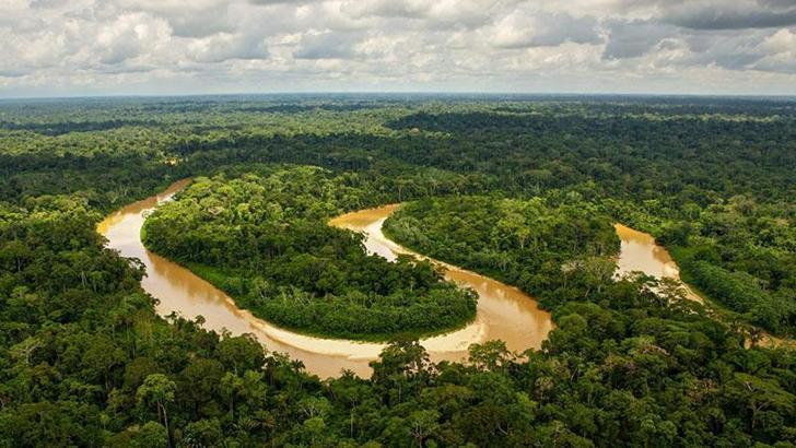 Amazon yağmur ormanları kuruyor