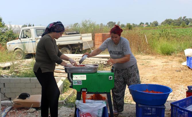 Denizyakalı'ya salça yapma makinesi
