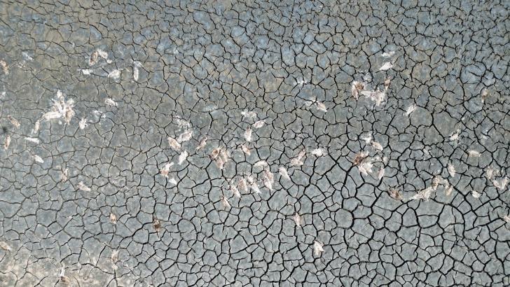 Kuraklıktan etkilenen Ulaş Gölü’ne ‘can suyu’