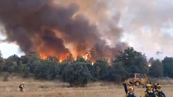 İspanya'da orman yangınlarında hayatını kaybedenlerin sayısı 3'e yükseldi