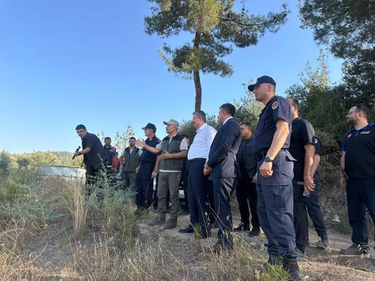 Osmaniye'de orman yangını (2)