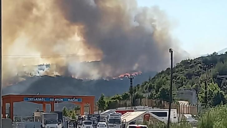Suriye'de sınıra yakın bölgede çıkan orman yangını Türkiye'ye sıçradı (2)
