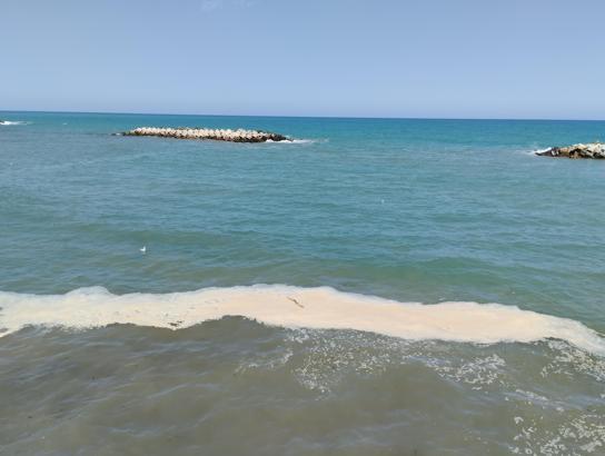 Akçakoca sahilinde denizde kirlilik