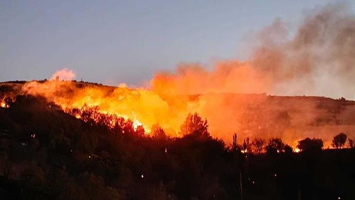 5 saatte söndürülen yangında 150 dönüm orman yandı