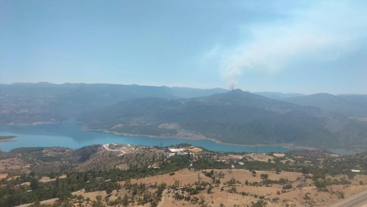 Karaman'da orman yangını