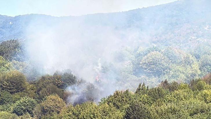Bartın'da orman yangını kontrol altında