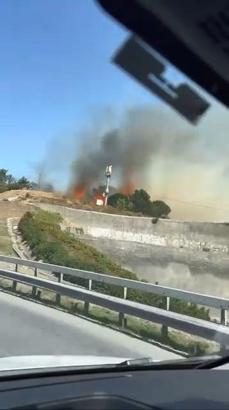 İstanbul - Eyüpsultan’da elektrik trafosundan çıkan yangın ağaçlık alana sıçradı