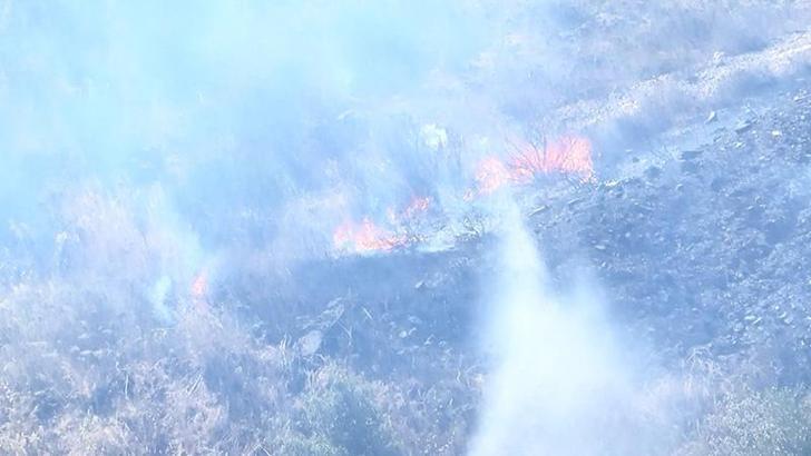Eyüpsultan’da elektrik trafosundan çıkan yangın ağaçlık alana sıçradı