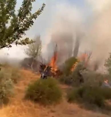 Sivas'ta maki yangını büyümeden söndürüldü