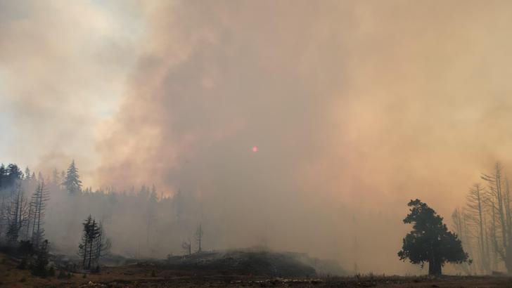 Karaman'da orman yangını (2)