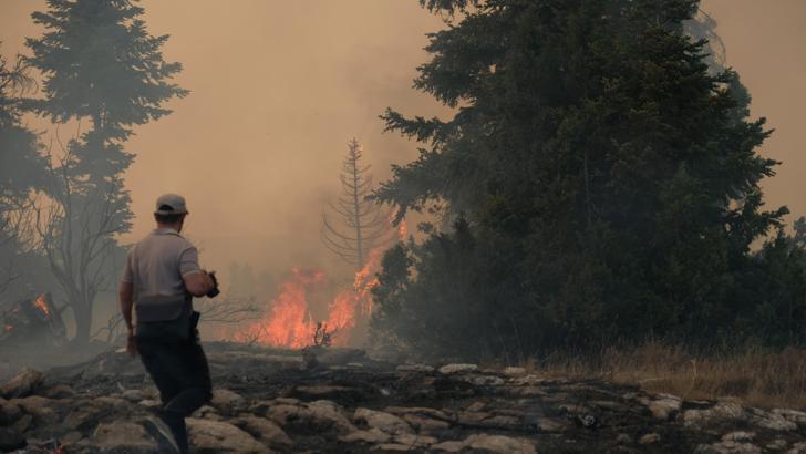 Karaman'da orman yangını / Ek Fotoğraflar