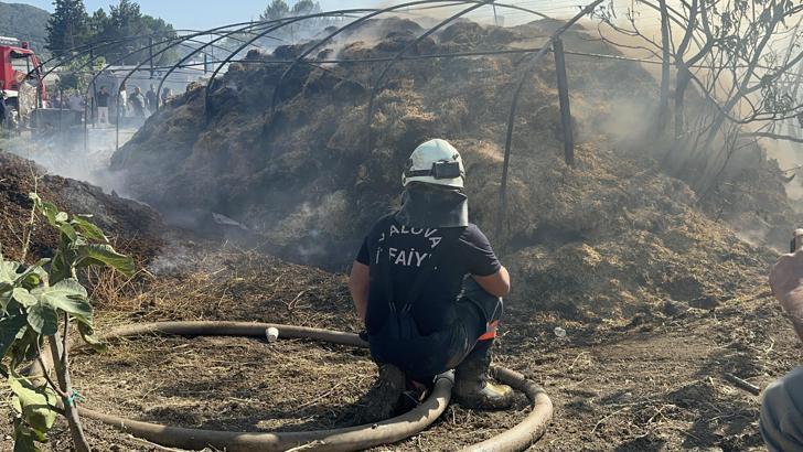 Yalova'da 3 farklı noktada çıkan yangın söndürüldü