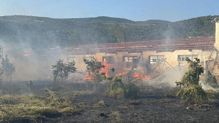 Rüzgarın etkisiyle kopan elektrik telleri yangına neden oldu
