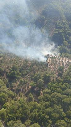 Edremit’te orman yangını