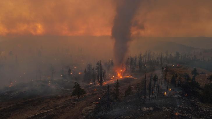Karaman'da orman yangını (3)
