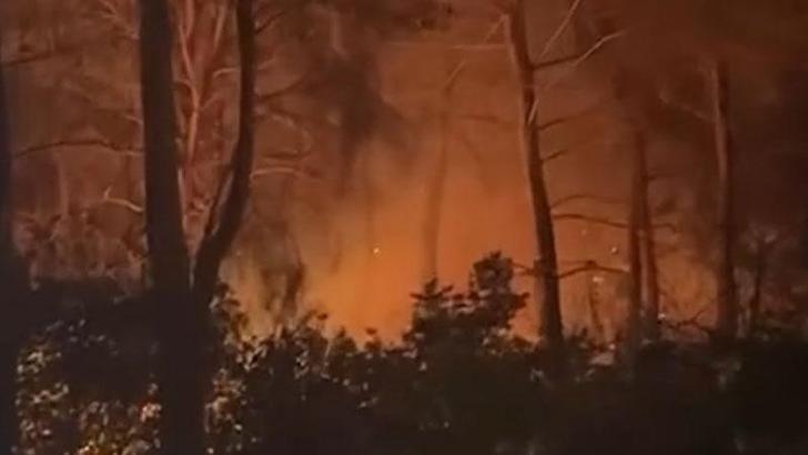 Çanakkale’de orman yangını kontrol altında