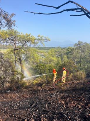 Muğla'daki ormanı yangını 2,5 saate kontrol altına alındı