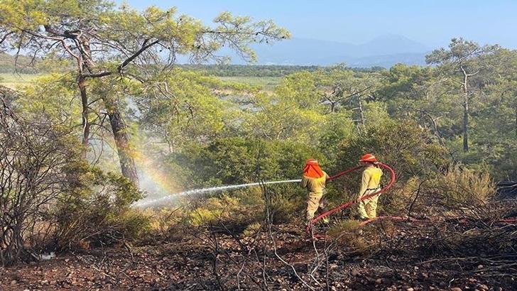 Muğla'daki ormanı yangını 2,5 saate kontrol altına alındı