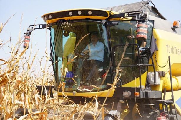 Osmaniye’de mısır hasadı başladı