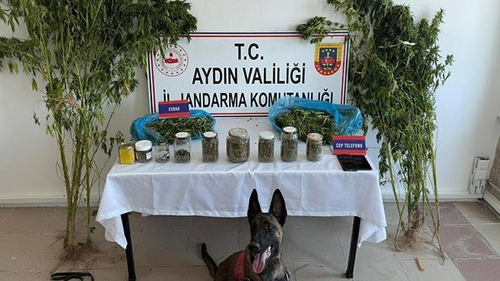 Evinde uyuşturucuyla yakalanıp, tutuklandı