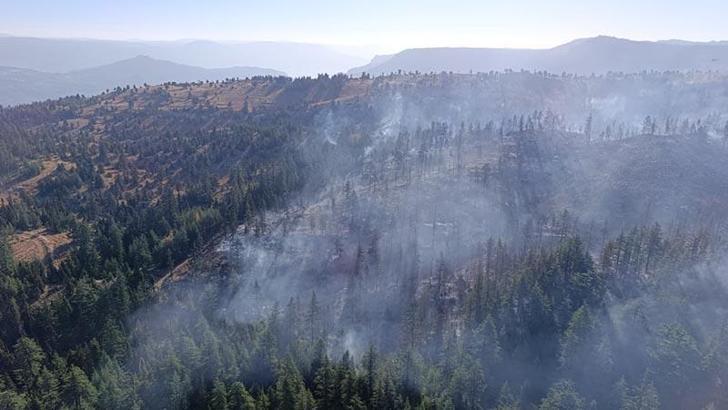 Karaman'daki orman yangını kontrol altında