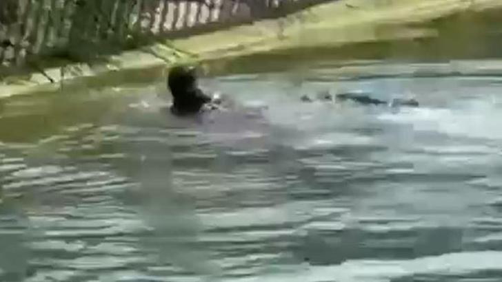 Sulama kanalında erkek cesedi bulundu