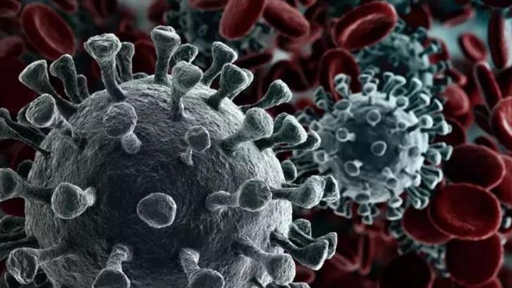 Kanser taramalarında SMS ile bilgilendirme dönemi