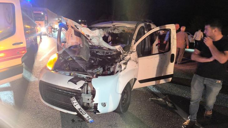 Bingöl’de hafif ticari araç ata çarptı: 1 ölü, 1 yaralı