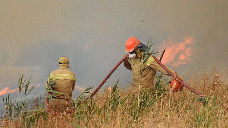OGM Müdürü Karacabey: Yangınların yüzde 57'si orman dışı alanlarda başladı