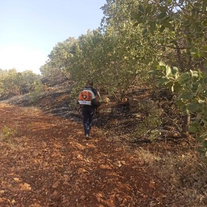 Mardin'de örtü yangını 3 saatte söndürüldü