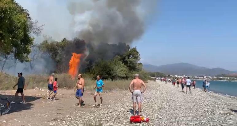 Muğla'da orman yangını