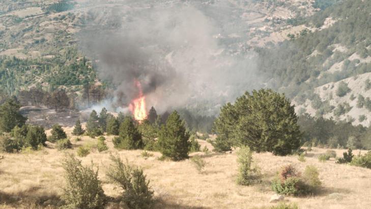Çorum’da orman yangını kontrol altına alındı