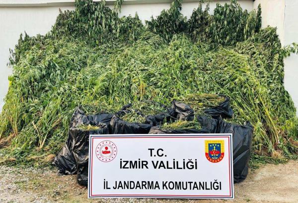 İzmir’de jandarmadan 1,5 aydaki uyuşturucu operasyonlarında 38 tutuklama