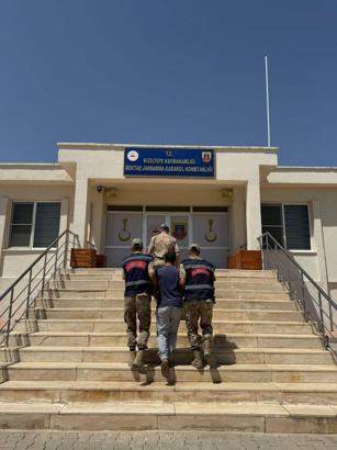 Sosyal medyada hayvanlarla ilgili ‘uygunsuz paylaşım’ yapan kişi gözaltına alındı