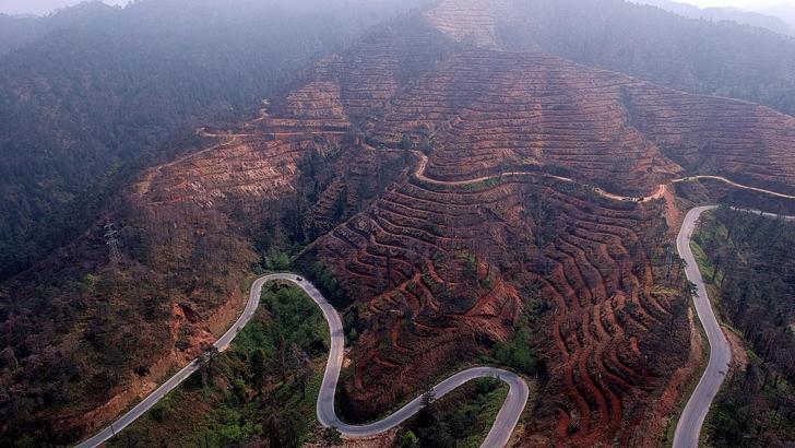 Yanan ormanların yeşertilmesinde ‘ekolojik denge’ uyarısı