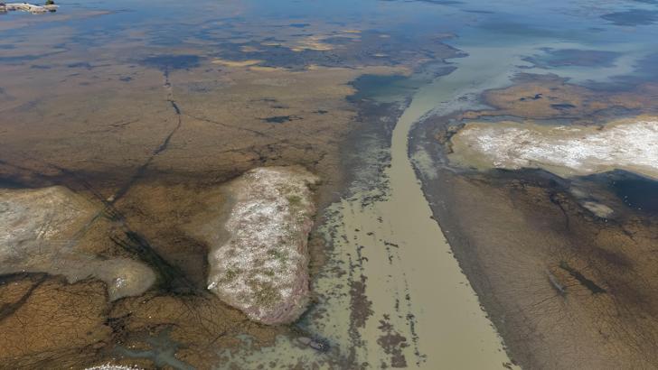'Beyşehir Gölü vefat etti' / Ek fotoğraflar