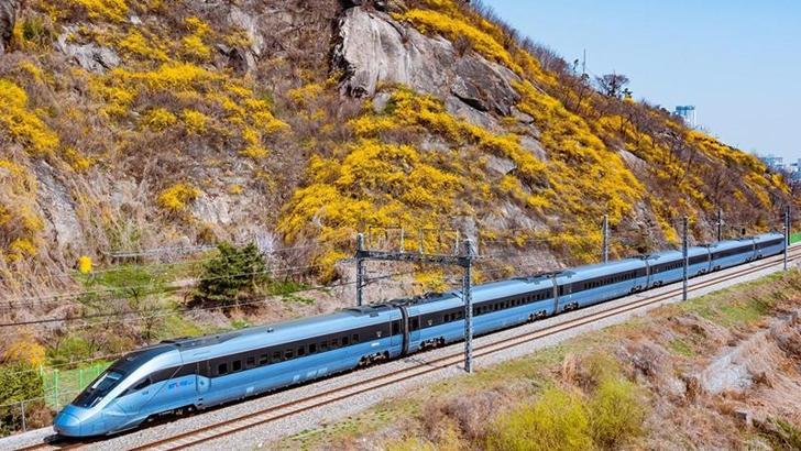 Güney Kore'de tren raydan çıktı: 2 ölü, 4 yaralı