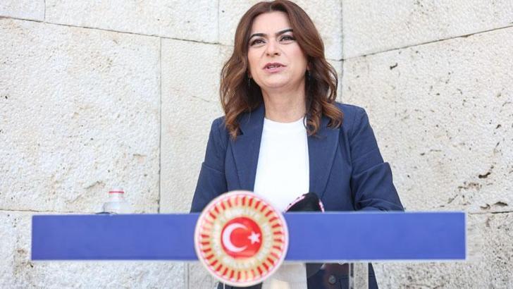 DEM Parti'li Koçyiğit: Siyaset, hukuki adımları hızlıca atmalı