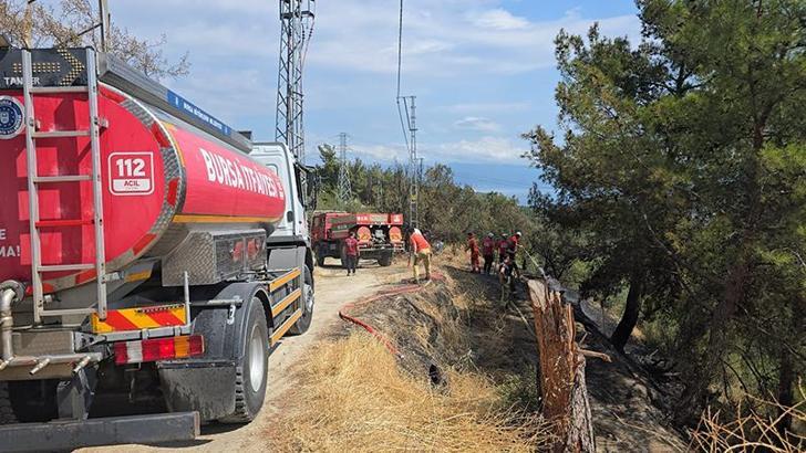 Mudanya'da 1 dönüm orman yandı