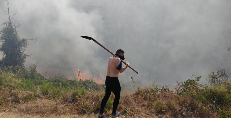 Bolu'da orman yangını (2)