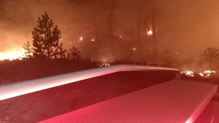 Muğla’da orman yangını